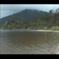 Thumbnail Royalty Free Stock Footage: New Zealand: NL00051