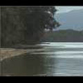 Thumbnail Royalty Free Stock Footage: New Zealand: NL00052