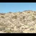 Thumbnail Royalty Free Stock Footage: Desert: NL00056