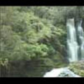Thumbnail Royalty Free Stock Footage: New Zealand: NL00073