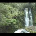 Thumbnail Royalty Free Stock Footage: New Zealand: NL00074