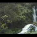 Thumbnail Royalty Free Stock Footage: New Zealand: NL00075