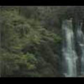 Thumbnail Royalty Free Stock Footage: New Zealand: NL00078