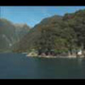 Thumbnail Royalty Free Stock Footage: New Zealand: NL00080