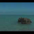 Thumbnail Royalty Free Stock Footage: New Zealand: NL00083