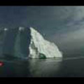 Thumbnail Royalty Free Stock Footage: Antarctica: NL00106