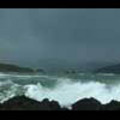 Thumbnail Royalty Free Stock Footage: New Zealand: NL00117