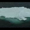 Thumbnail Royalty Free Stock Footage: Antarctica: NL00124