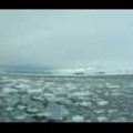 Thumbnail Royalty Free Stock Footage: Antarctica: NL00126