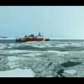 Thumbnail Royalty Free Stock Footage: Antarctica: NL00129