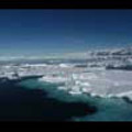 Thumbnail Royalty Free Stock Footage: Antarctica: NL00170