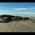 Thumbnail Royalty Free Stock Footage: New Zealand: NL00573