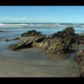 Thumbnail Royalty Free Stock Footage: New Zealand: NL00574