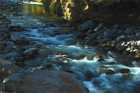 Product picture Royalty Free Stock Footage: New Zealand Stoney River: NL00012