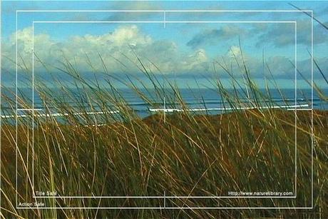 Product picture Royalty Free Stock Footage: New Zealand Surf Beach: NL00013