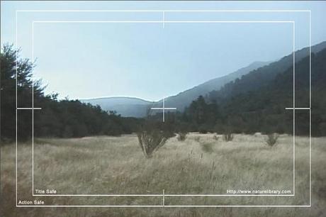 Product picture Royalty Free Stock Footage: New Zealand Valley: NL00018