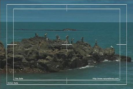 Product picture Royalty Free Stock Footage: New Zealand Coastline - Banks Penninsula: NL00027