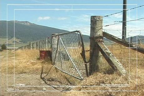 Product picture Royalty Free Stock Footage: New Zealand Farmland: NL00029