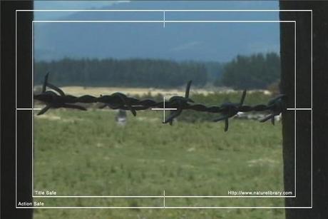 Product picture Royalty Free Stock Footage: New Zealand Farmland: NL00034