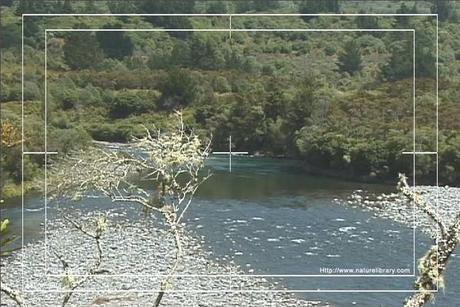 Product picture Royalty Free Stock Footage: New Zealand Scenery: NL00038