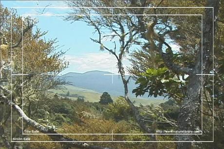 Product picture Royalty Free Stock Footage: New Zealand Scenery: NL00039