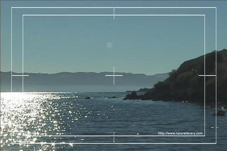 Product picture Royalty Free Stock Footage: Bay: NL00041