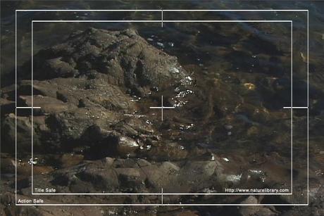 Product picture Royalty Free Stock Footage: Water Ripples: NL00043