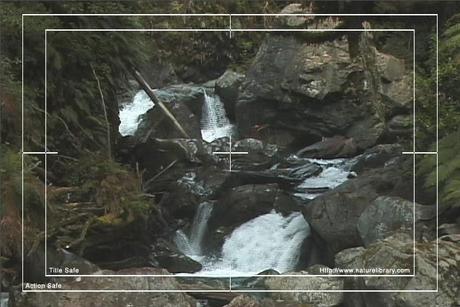 Product picture Royalty Free Stock Footage: New Zealand: NL00091