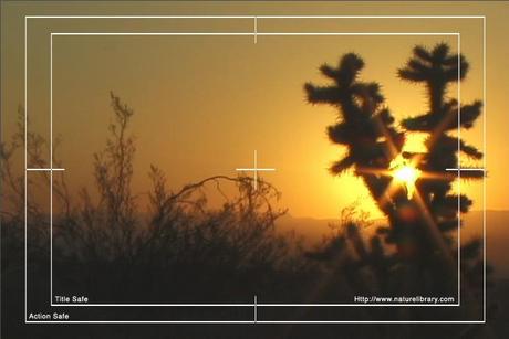 Product picture Royalty Free Stock Footage: Desert: NL00096