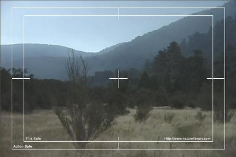 Product picture Royalty Free Stock Footage: New Zealand: NL00100