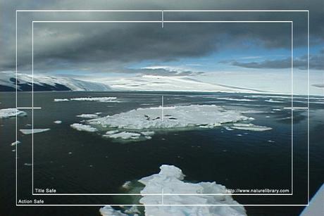 Product picture Royalty Free Stock Footage: Antarctica: NL00109