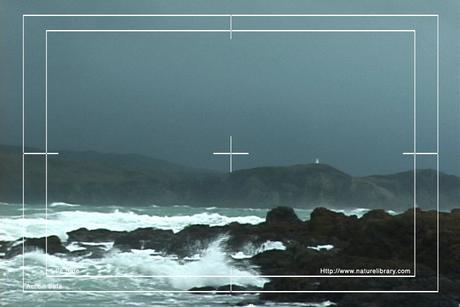 Product picture Royalty Free Stock Footage: New Zealand: NL00116