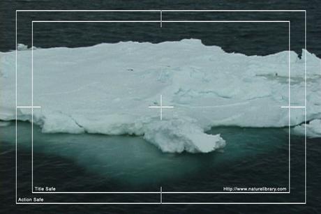 Product picture Royalty Free Stock Footage: Antarctica: NL00124