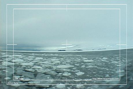 Product picture Royalty Free Stock Footage: Antarctica: NL00126