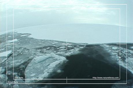 Product picture Royalty Free Stock Footage: Antarctica: NL00127