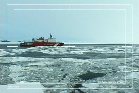 Product picture Royalty Free Stock Footage: Antarctica: NL00129