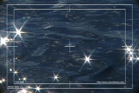 Product picture Royalty Free Stock Footage: Antarctica: NL00169