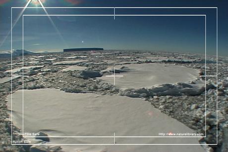 Product picture Royalty Free Stock Footage: Antarctica: NL00174