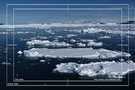 Product picture Royalty Free Stock Footage: Antarctica: NL00179