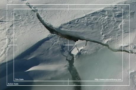 Product picture Royalty Free Stock Footage: Antarctica: NL00180