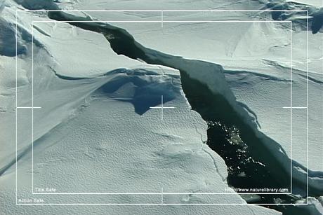 Product picture Royalty Free Stock Footage: Antarctica: NL00189