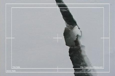 Product picture Royalty Free Stock Footage: Antarctica: NL00251