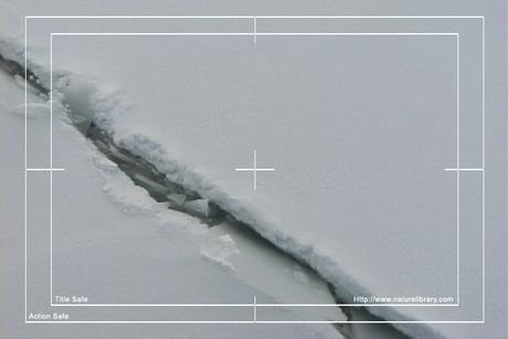 Product picture Royalty Free Stock Footage: Antarctica: NL00252