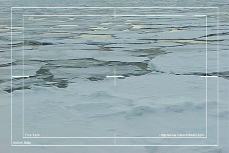 Product picture Royalty Free Stock Footage: Antarctica: NL00258