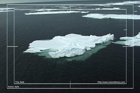 Product picture Royalty Free Stock Footage: Antarctica: NL00259