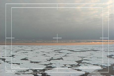 Product picture Royalty Free Stock Footage: Antarctica: NL00263