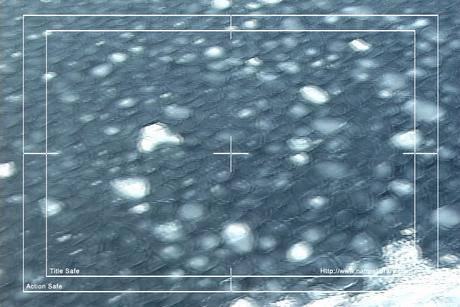 Product picture Royalty Free Stock Footage: Antarctica: NL00265