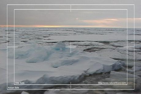 Product picture Royalty Free Stock Footage: Antarctica: NL00273