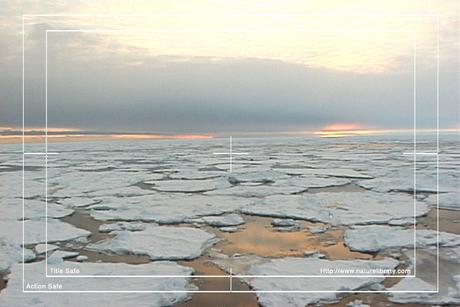 Product picture Royalty Free Stock Footage: Antarctica: NL00274