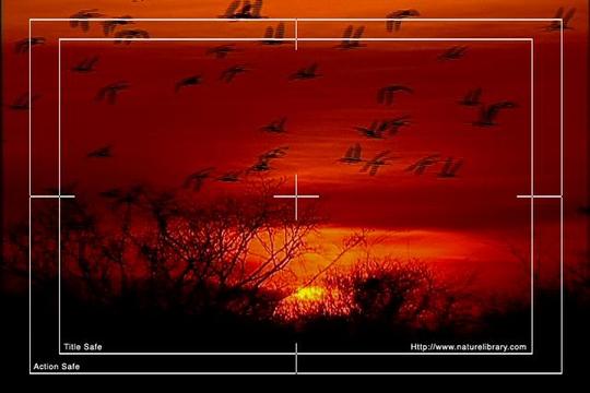 Product picture Royalty Free Stock Footage: Venezuela: NL00427